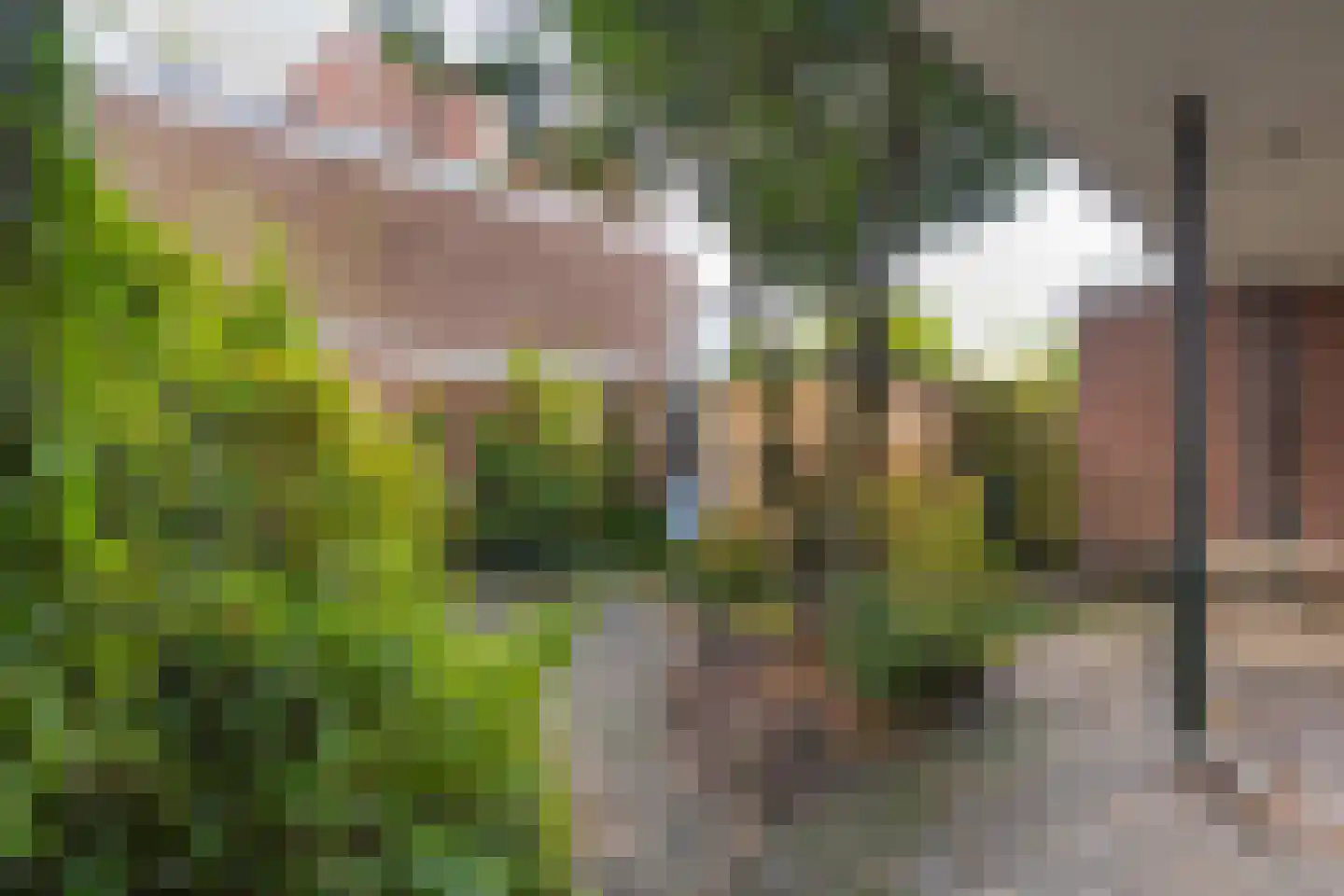 Ben Viljoenstraat 78 Haarlem thumbnail 32
