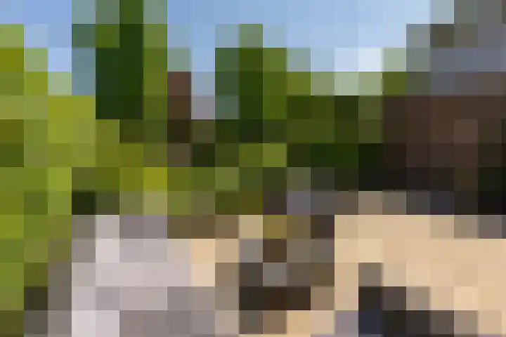 Ben Walrechtstraat 7 Groningen thumbnail 20