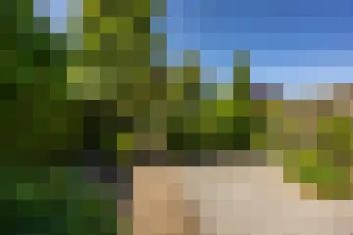 Ben Walrechtstraat 7 Groningen thumbnail 37