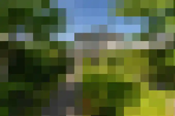 Ben Walrechtstraat 7 Groningen thumbnail 38