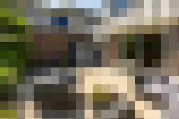 Ben Walrechtstraat 7 Groningen thumbnail 39