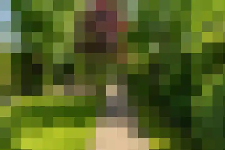 Ben Walrechtstraat 7 Groningen thumbnail 4