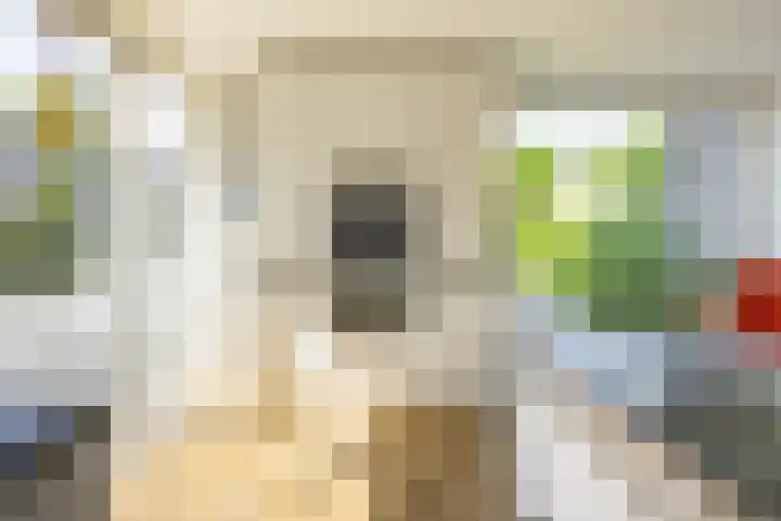 Ben Walrechtstraat 7 Groningen thumbnail 8