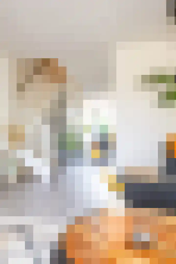 Ben Walrechtstraat 9 Groningen thumbnail 12