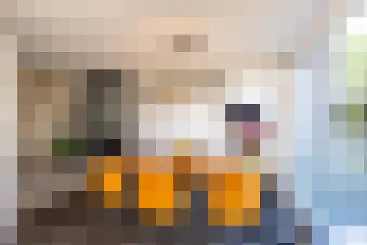 Ben Walrechtstraat 9 Groningen thumbnail 21