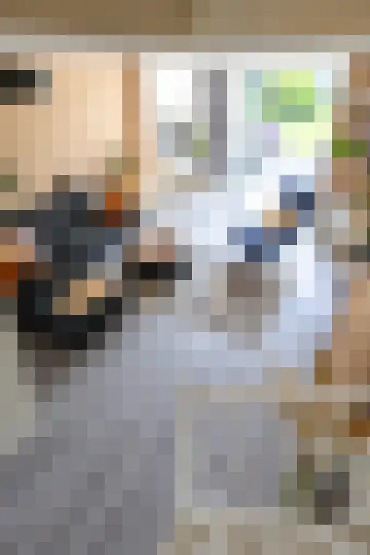 Ben Walrechtstraat 9 Groningen thumbnail 25