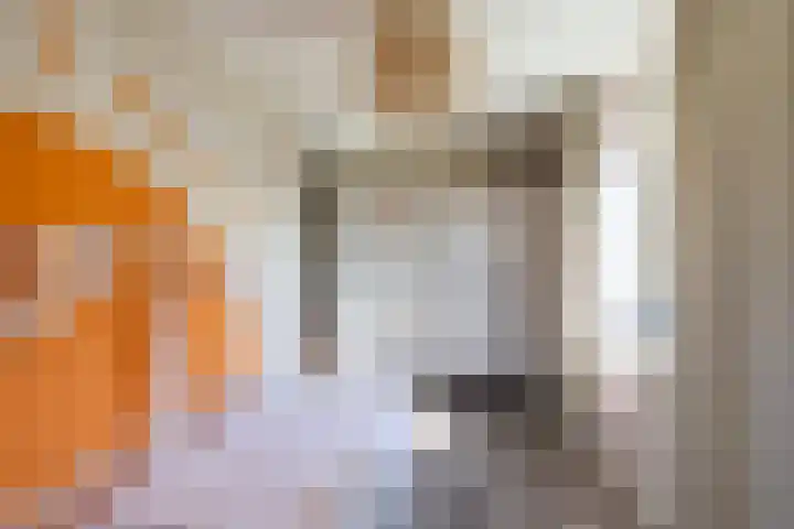Ben Walrechtstraat 9 Groningen thumbnail 31