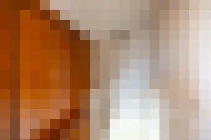 Ben Walrechtstraat 9 Groningen thumbnail 38