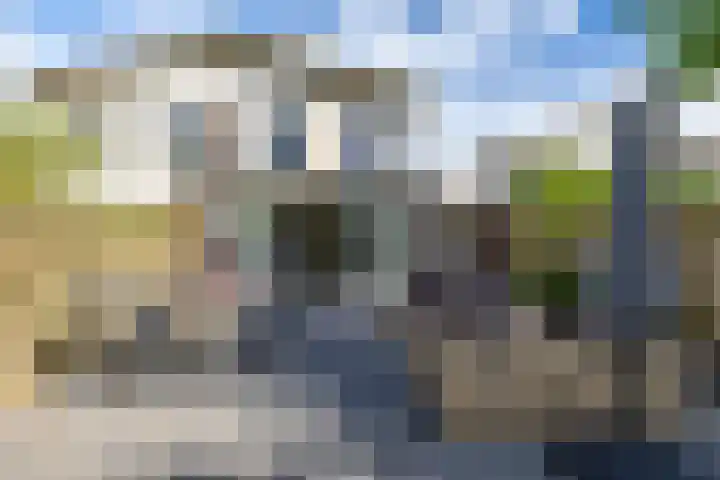 Ben Walrechtstraat 9 Groningen thumbnail 42