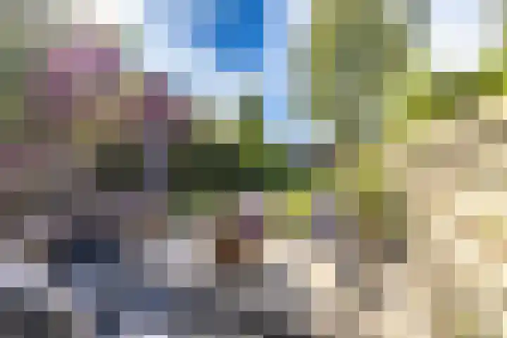 Ben Walrechtstraat 9 Groningen thumbnail 43