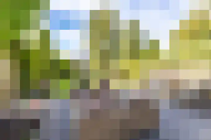 Ben Walrechtstraat 9 Groningen thumbnail 44