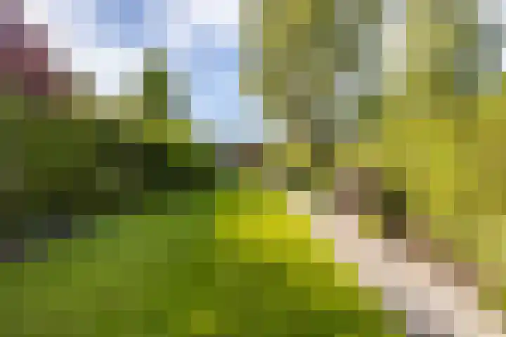 Ben Walrechtstraat 9 Groningen thumbnail 46