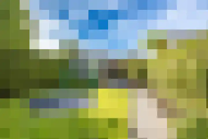 Ben Walrechtstraat 9 Groningen thumbnail 47