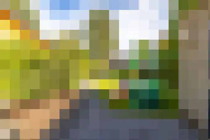 Ben Walrechtstraat 9 Groningen thumbnail 48