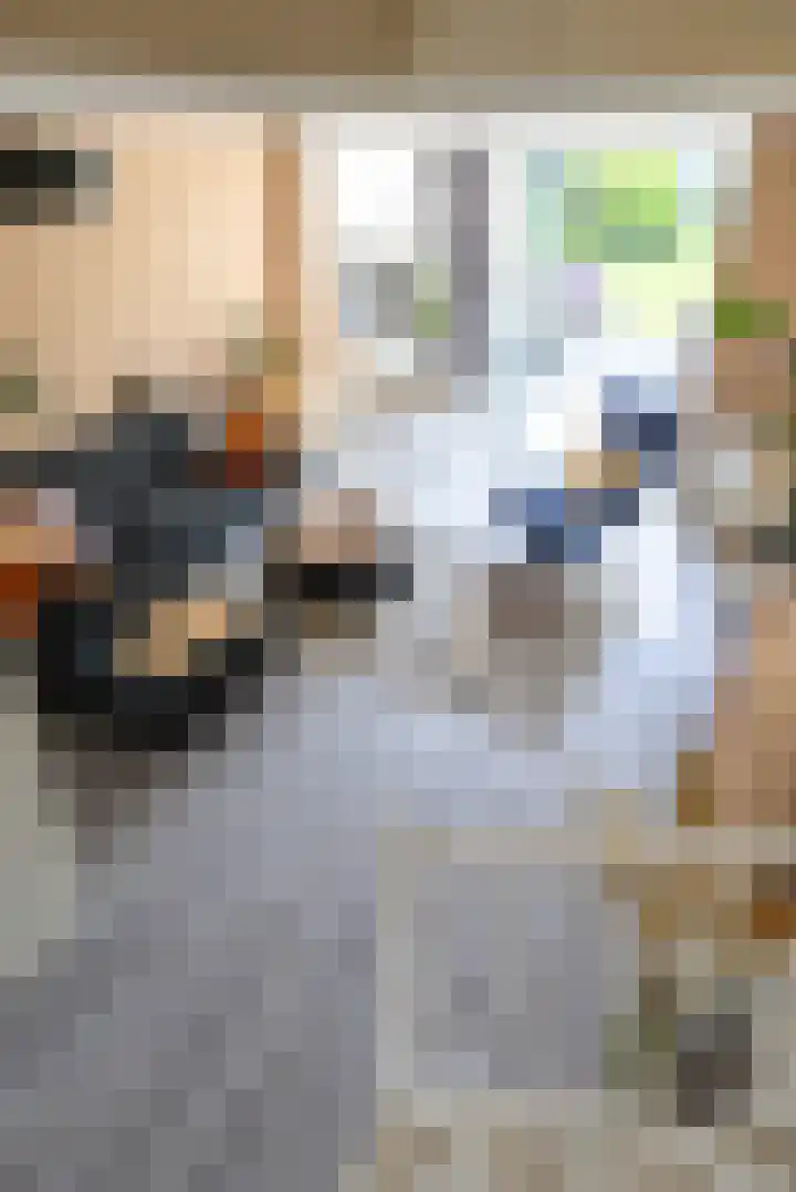 Ben Walrechtstraat 9 Groningen thumbnail 62