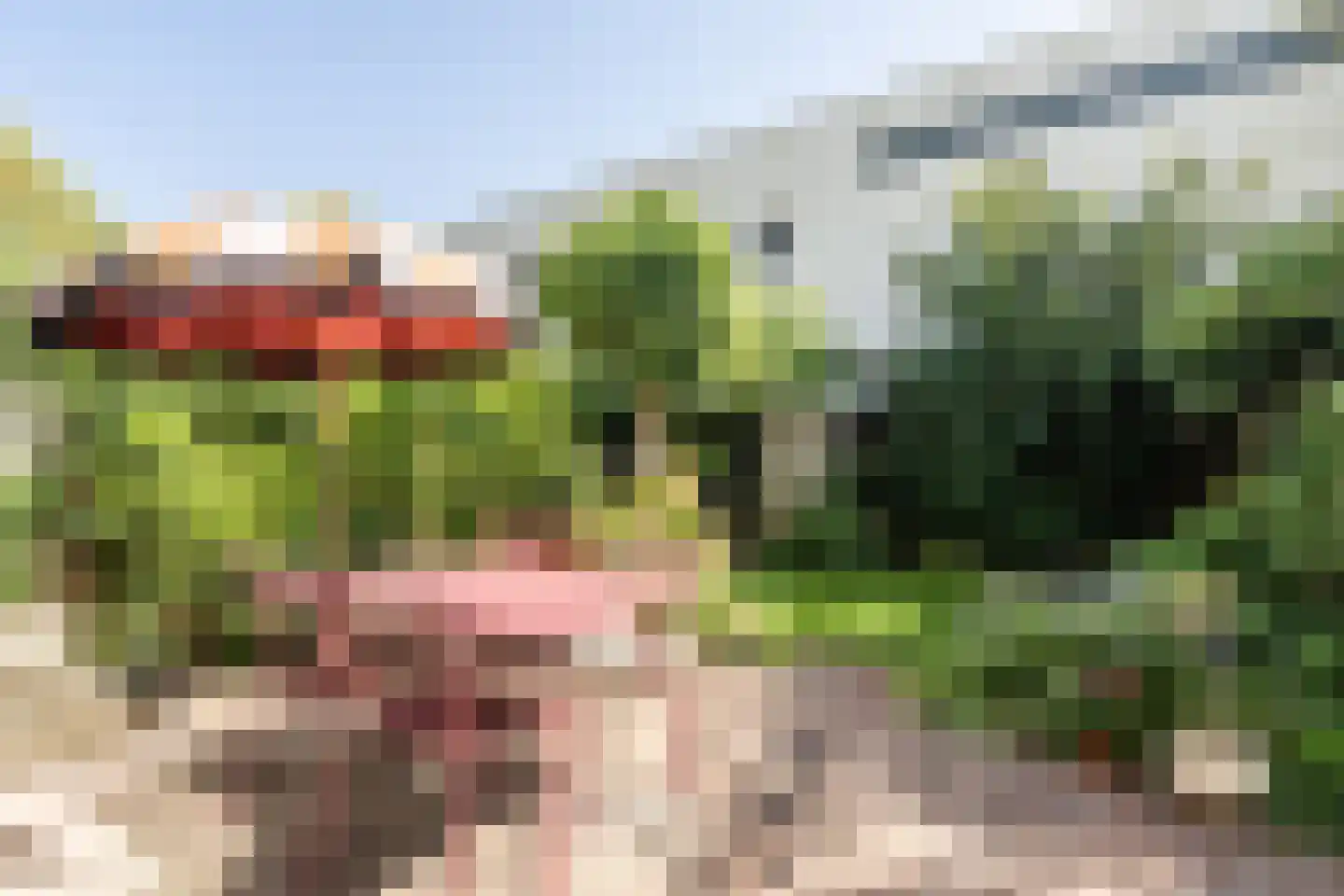 Ben Websterstraat 5 Amsterdam thumbnail 22