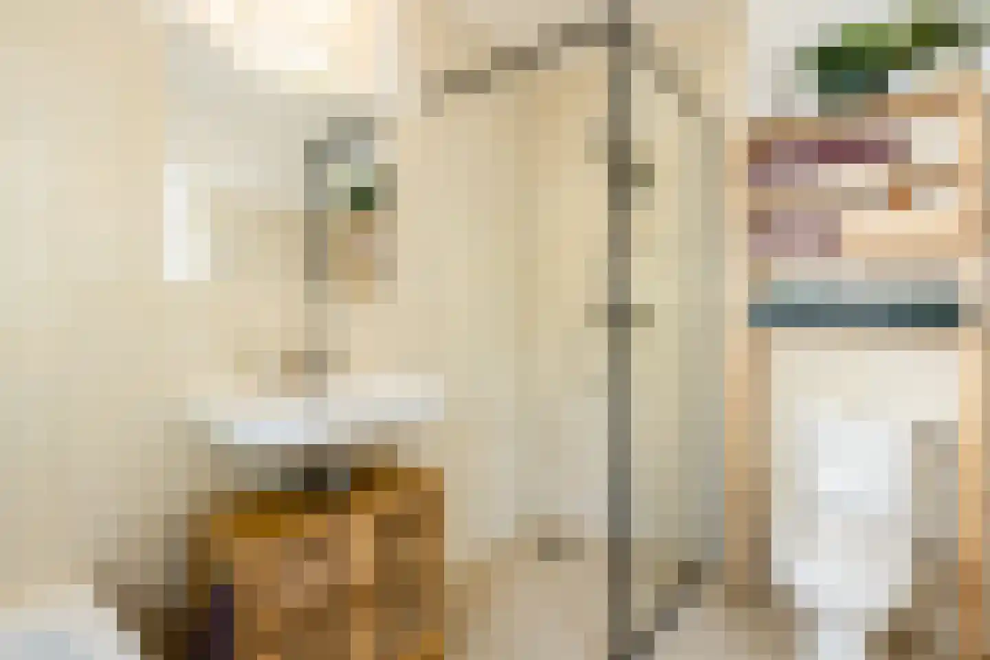 Ben Websterstraat 5 Amsterdam thumbnail 53