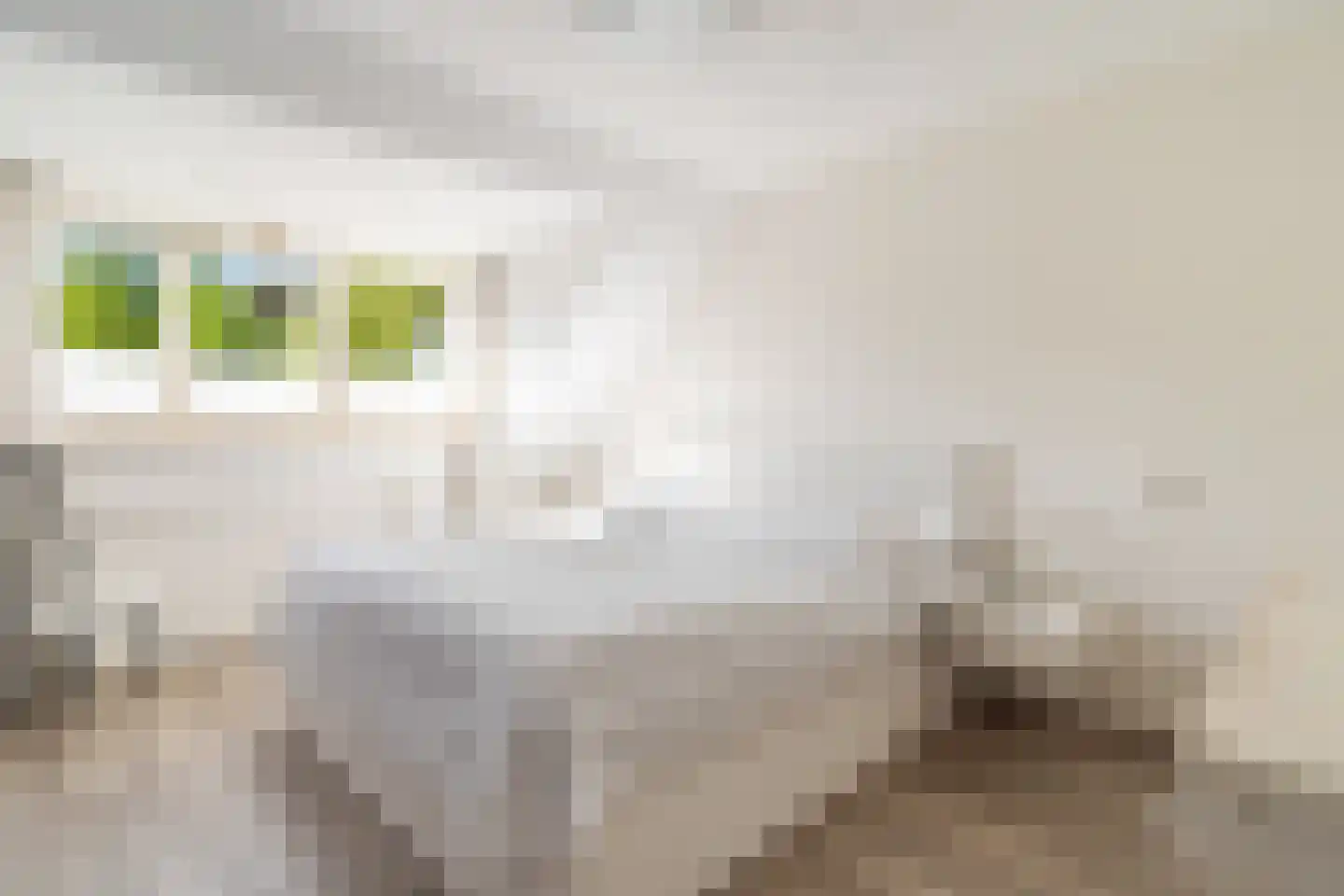 Ben Websterstraat 78 Rotterdam thumbnail 36