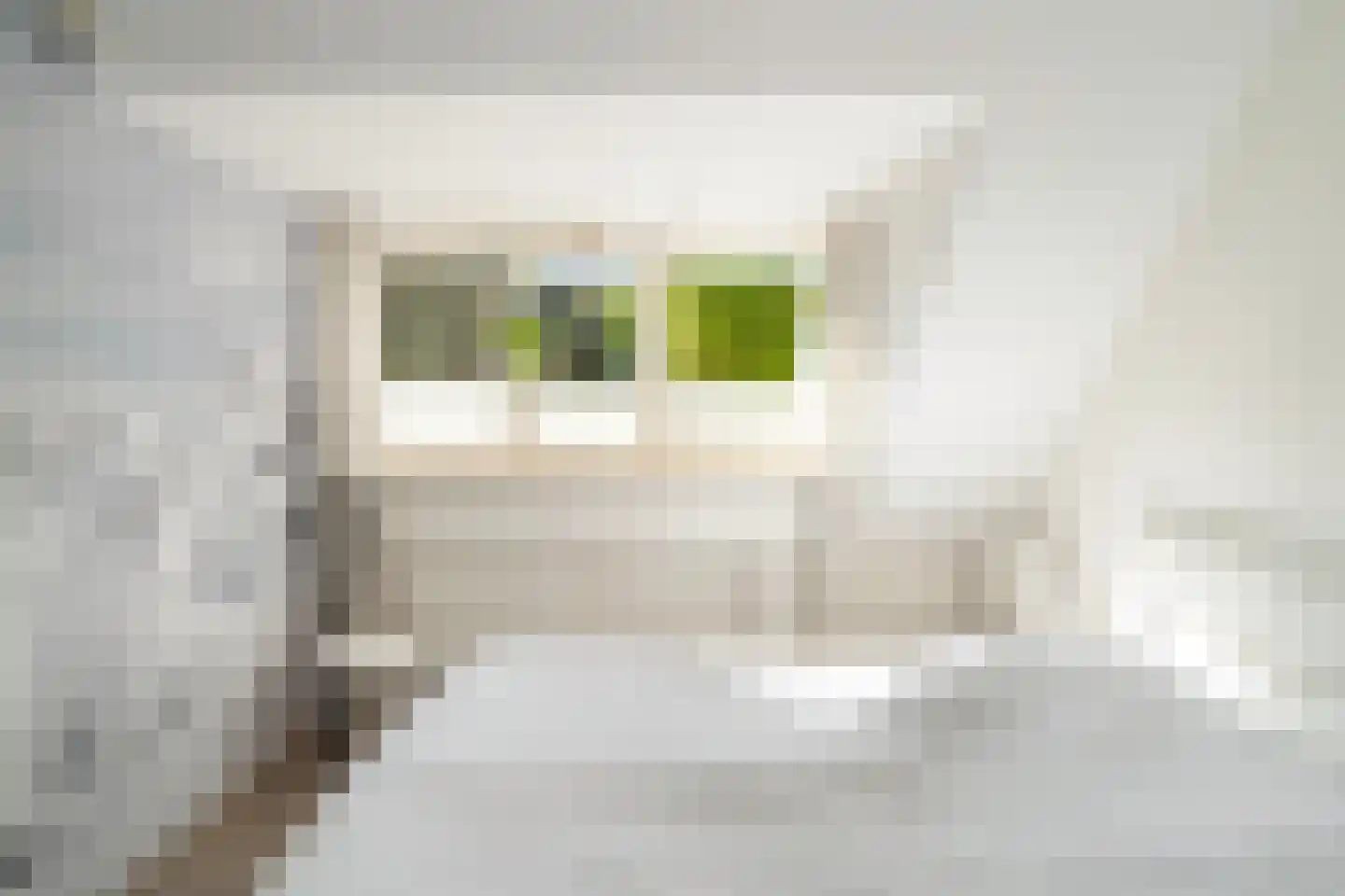 Ben Websterstraat 78 Rotterdam thumbnail 37
