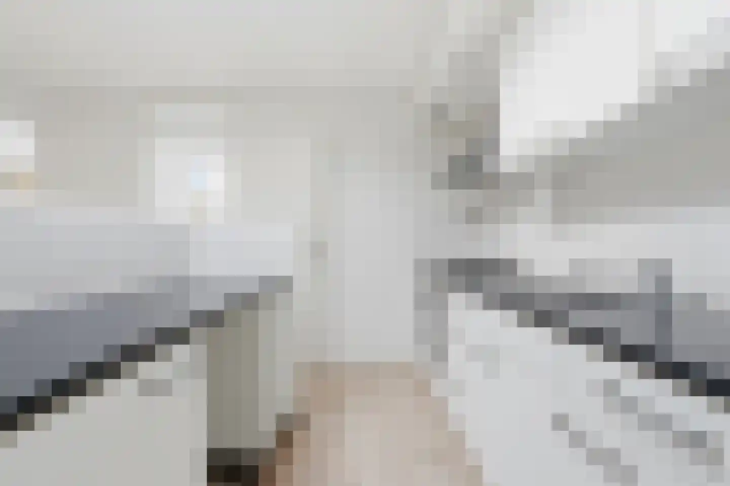 Ben Wyvis 11 Amsterdam thumbnail 9