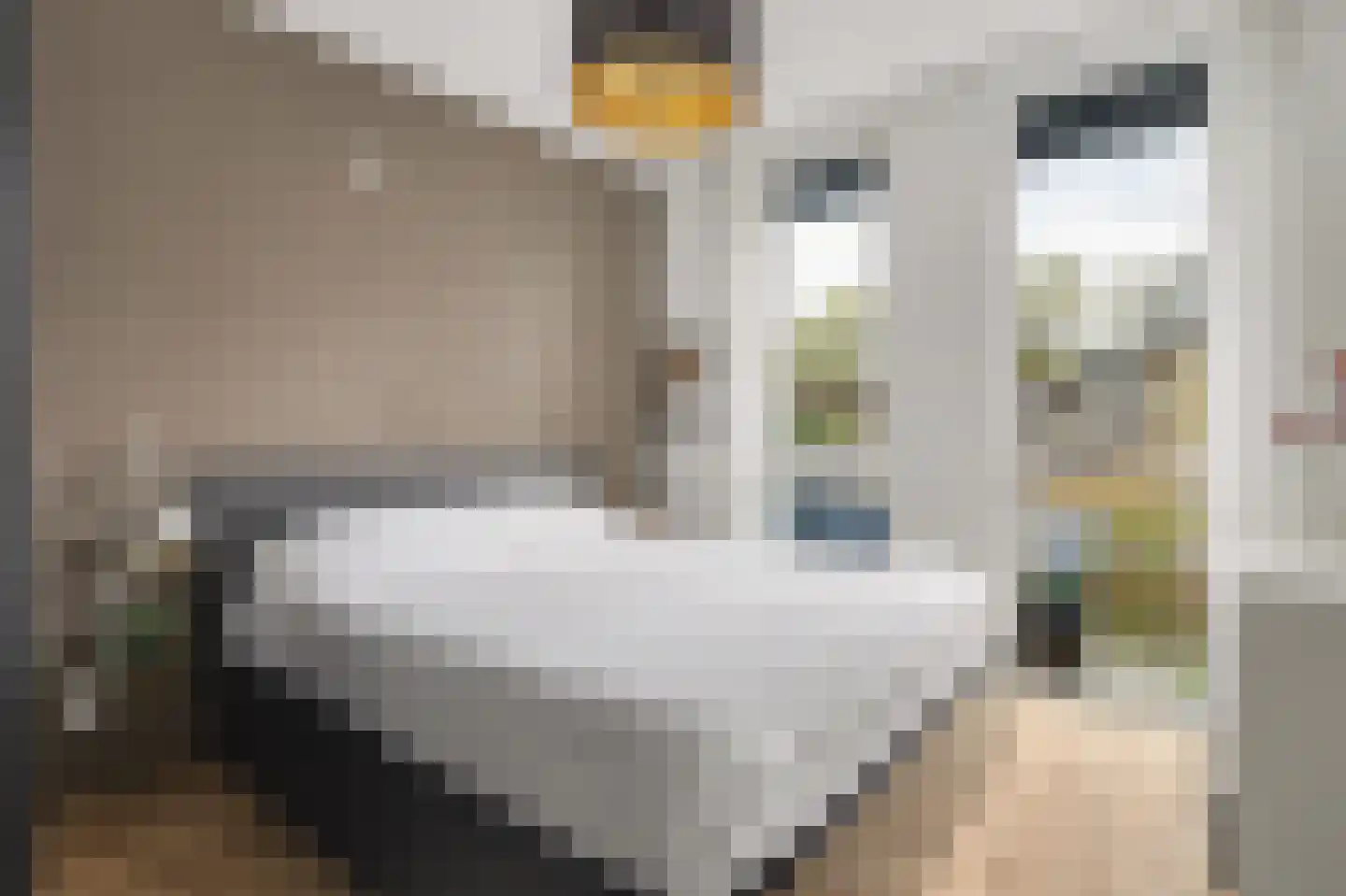 Benatzkystraat 20 Tilburg thumbnail 17