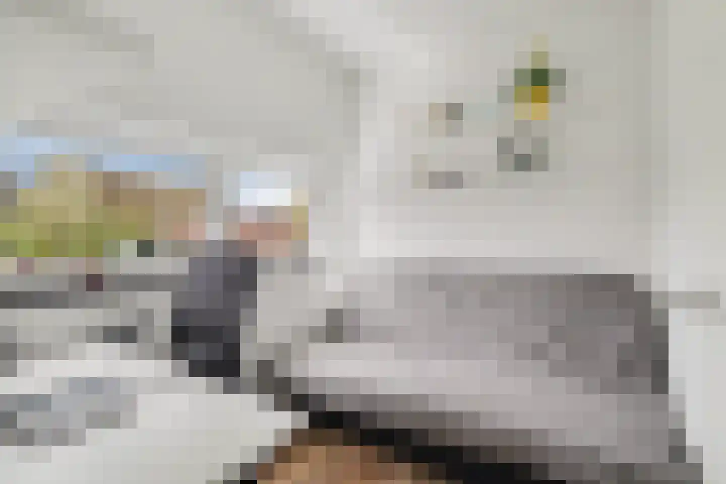 Benatzkystraat 20 Tilburg thumbnail 18