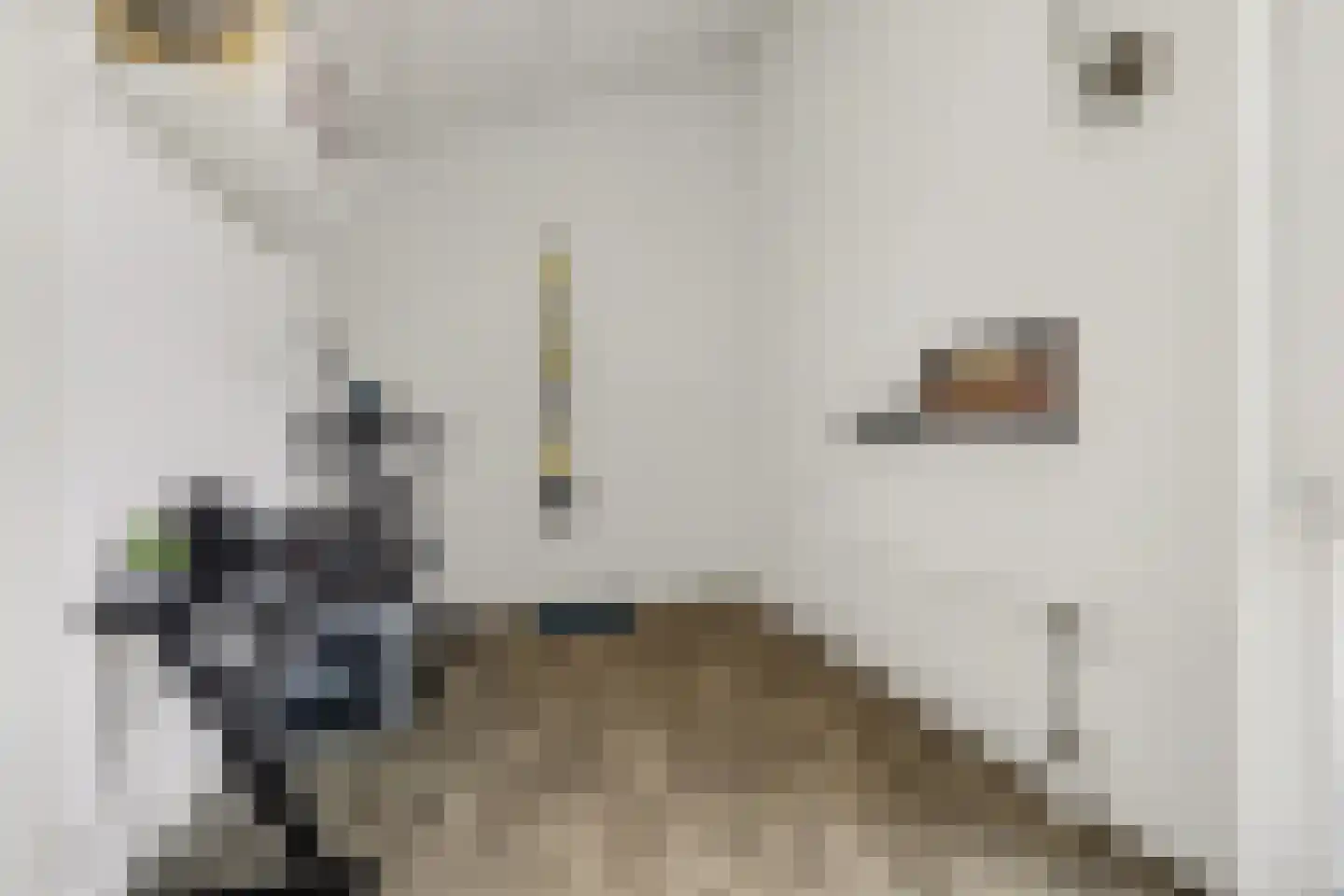 Benatzkystraat 20 Tilburg thumbnail 26