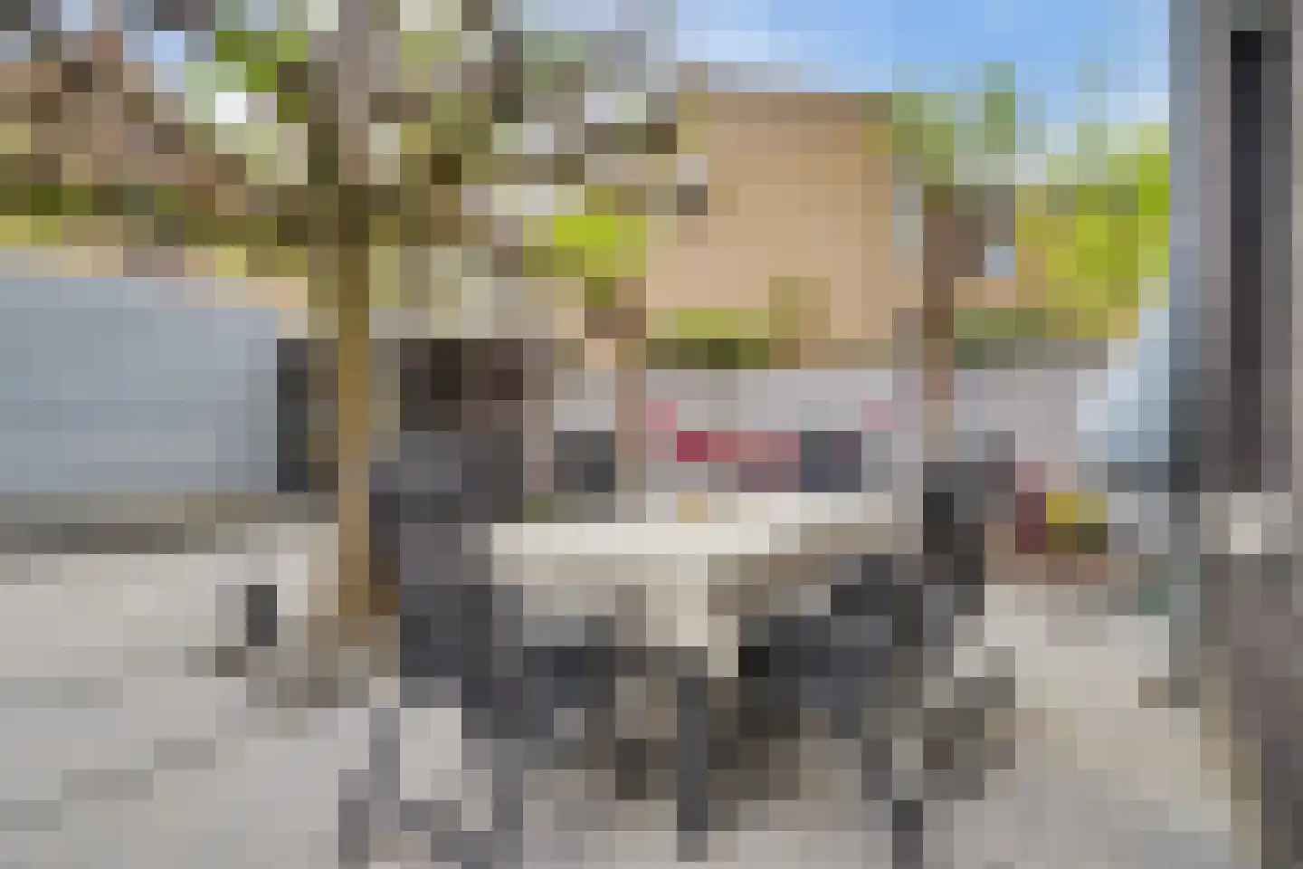 Benatzkystraat 20 Tilburg thumbnail 30