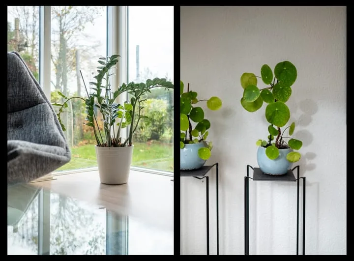 Benckemastraat 29 Leek thumbnail 14