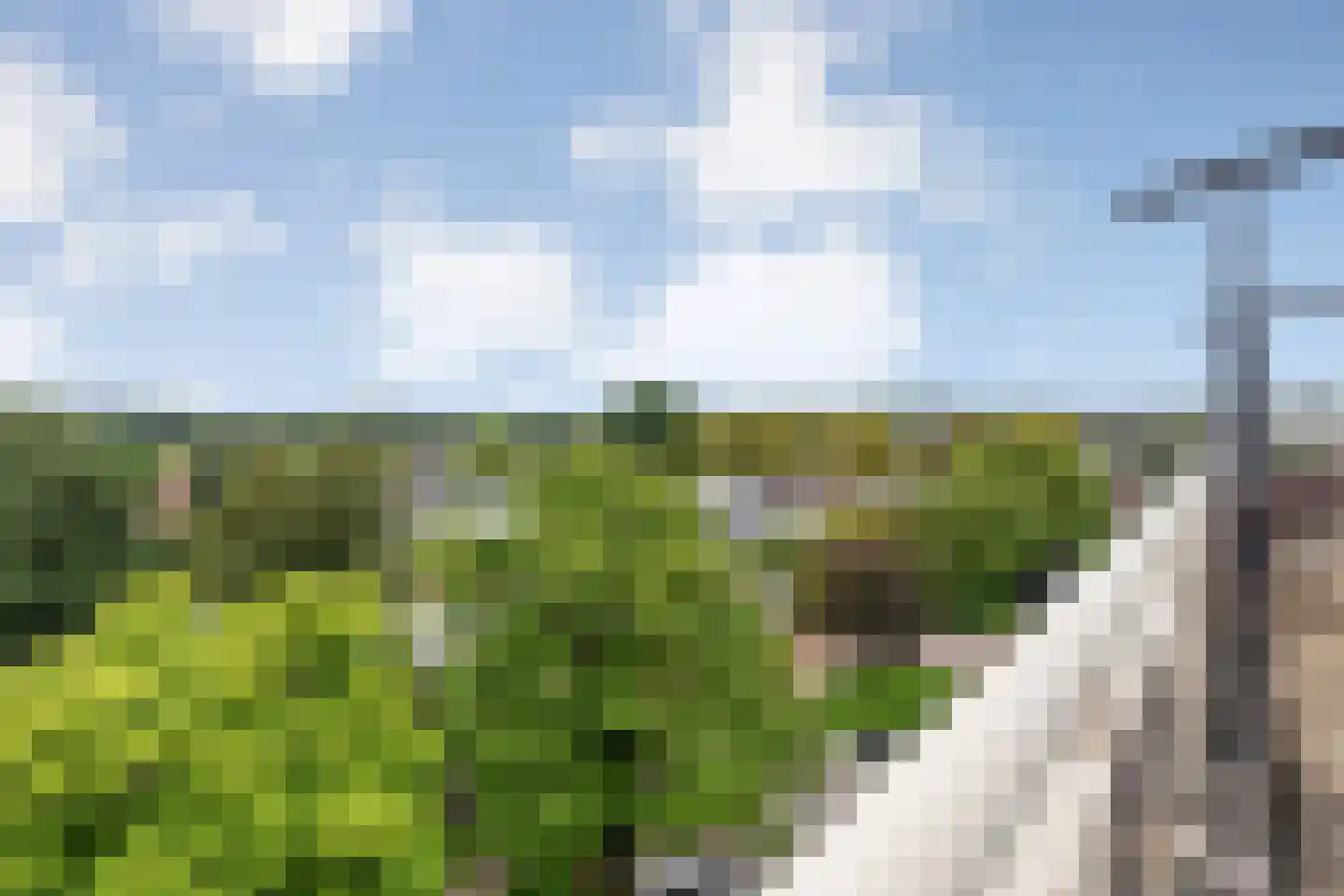 Bendien-Smitshof 34 Nijverdal thumbnail 21