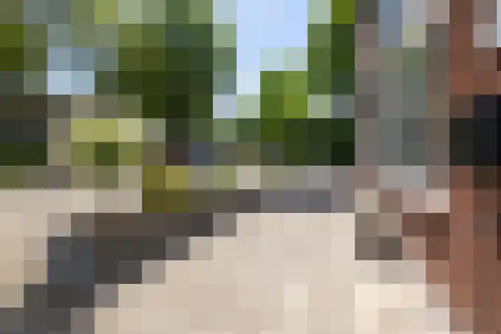 Bendienlaan 34 Nieuwegein thumbnail 39
