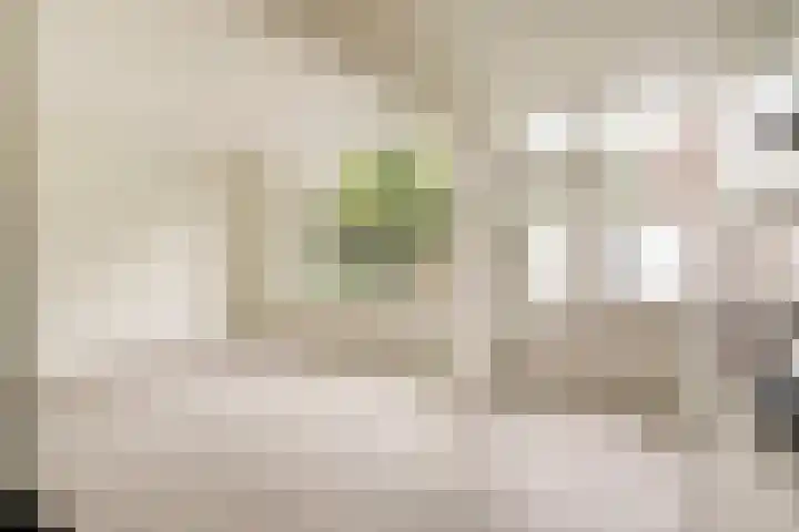 Bendienlaan 8 Nieuwegein thumbnail 13