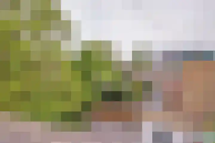 Bendienlaan 8 Nieuwegein thumbnail 29