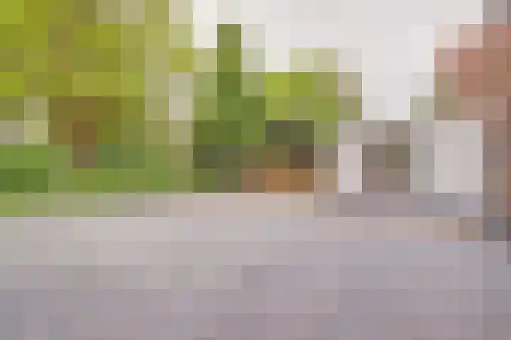Bendienlaan 8 Nieuwegein thumbnail 5