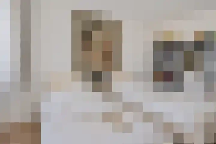 Bendienplein 14 Emmen thumbnail 18