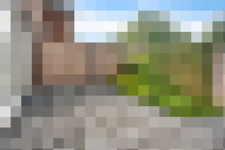 Bendienplein 14 Emmen thumbnail 41