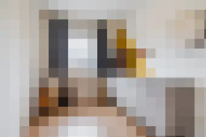 Beneden Beekloop 21 Geldrop thumbnail 24