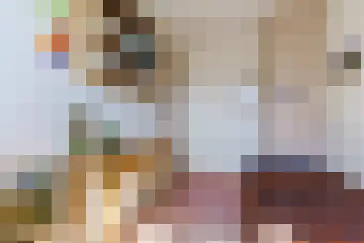 Beneden Beekloop 53 Geldrop thumbnail 21