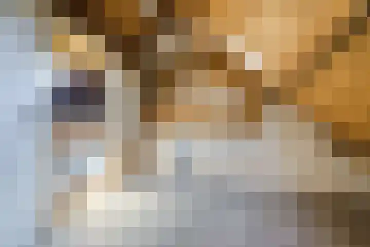 Beneden Beekloop 53 Geldrop thumbnail 31