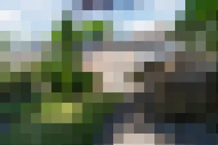 Beneden Beekloop 53 Geldrop thumbnail 34