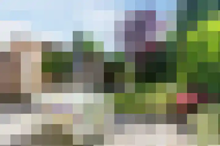 Beneden Beekloop 53 Geldrop thumbnail 35