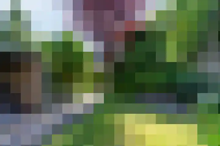 Beneden Beekloop 53 Geldrop thumbnail 37