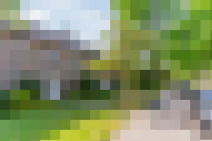 Beneden Beekloop 53 Geldrop thumbnail 40