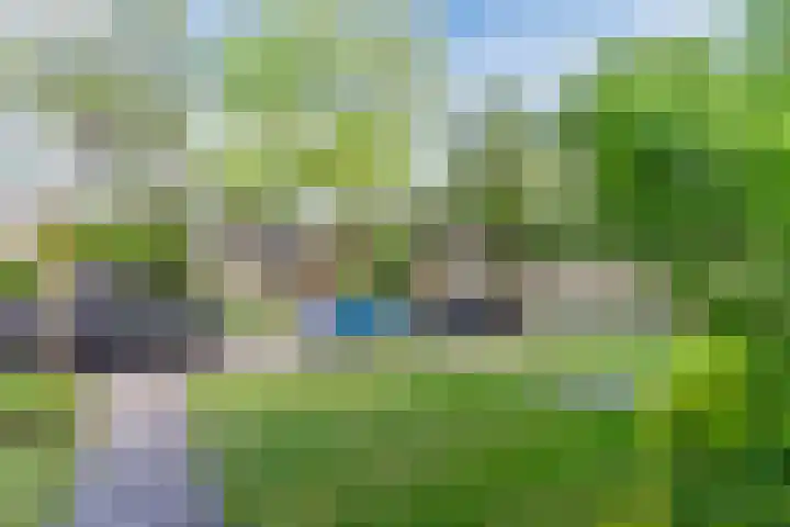 Beneden Beekloop 53 Geldrop thumbnail 41