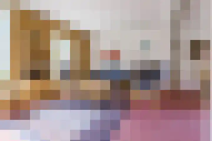 Beneden Beekloop 53 Geldrop thumbnail 7