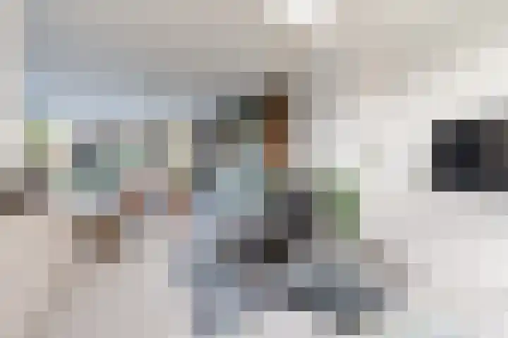 Beneden Beekloop 57 Geldrop thumbnail 10