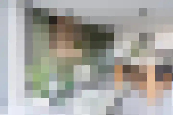 Beneden Beekloop 57 Geldrop thumbnail 13