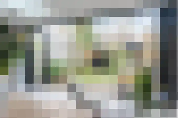 Beneden Beekloop 57 Geldrop thumbnail 16