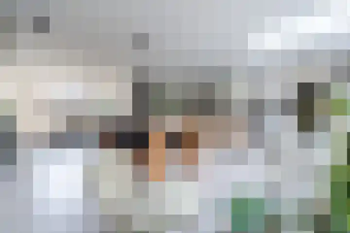 Beneden Beekloop 57 Geldrop thumbnail 18