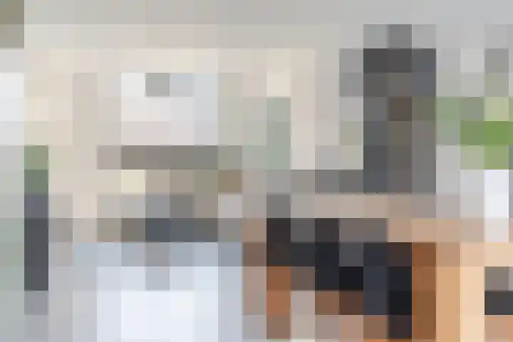 Beneden Beekloop 57 Geldrop thumbnail 19